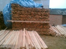 金華國際貿易 專業進口木材銷售與加工服務