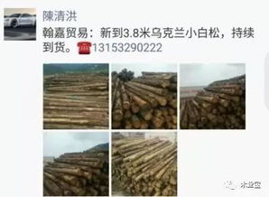 履約思源，不忘初心——精品木材銷售啟事